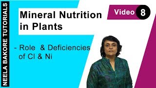 Mineral Nutrition in Plants  NEET  Role amp Deficiencies of Ca amp Ni  Neela Bakore Tutorials [upl. by Acirretahs]