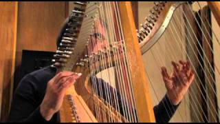 Harpist Jacques Vandevelde quot Melodia Nueva quot [upl. by Irtak]