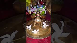 Laddu Gopal morning routine laddugopal krishna kanha ytshorts shorts krishnastatus [upl. by Marjory]