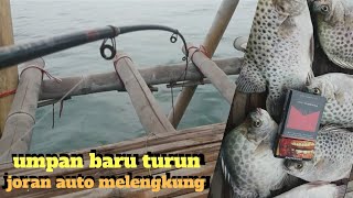 Mancing ikan kiper di bagan [upl. by Trawets397]