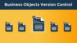 Business Objects Version Control [upl. by Aiva]