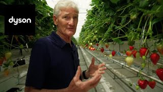 Behind the scenes of Dyson Farming with James Dyson [upl. by Rriocard]