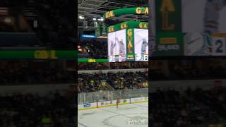 London Knights goal horn live [upl. by Aterg]