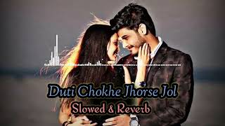 Duti Chokhe Jhorche Jol  Slowed amp Reverb  Imran Mahmudul  Bangla Lofi Songs [upl. by Netfa]