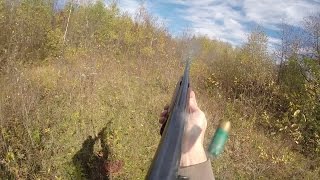 Autumn Blaze Ruffed Grouse Hunting [upl. by Grounds]