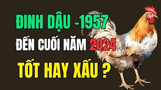 Tử vi tuổi Đinh Dậu 1957 Từ giờ đến cuối năm 2024 Tốt hay Xấu Giàu có May mắn hay vận hạn Thế nào [upl. by Aenea]