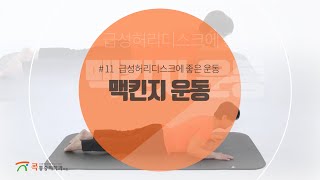 급성 허리디스크에 좋은 맥킨지 운동법허리통증 허리스트레칭 [upl. by Silenay]