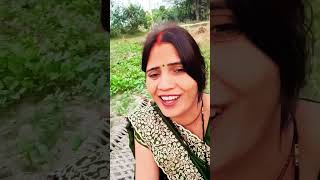 nihuri nihuri Piya Dekhe Sohar geetshortvideo ₹ [upl. by Henka666]