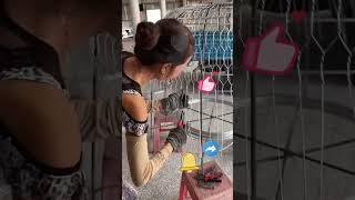 The process of making chicken coops [upl. by Harvison]