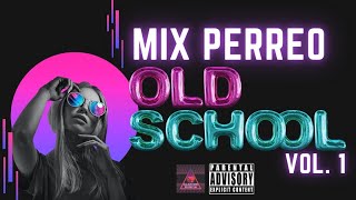 Mix Perreo OldSchool 🔥😈  Mix Reggaeton Clasico  Dj TecnoAlarcon 🔥🎧 [upl. by Leslee]