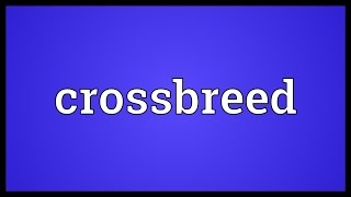 Crossbreed Meaning [upl. by Horowitz]