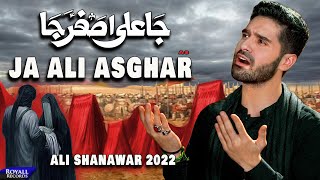 Ja Ali Asghar  Ali Shanawar  2022  1444 [upl. by Huba]