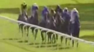 At The Races  Derek and Clive Peter Cook Dudley Moore Horse Racing with streakerxvidmp4 [upl. by Bakemeier]