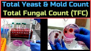 Total Yeast amp Mold Count Total Fungal CountA Complete Procedure BAM Ch18 [upl. by Melinda1]