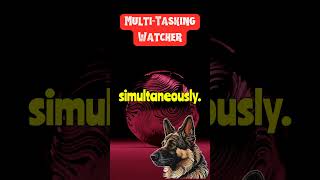 MindBlowing German Shepherd Intelligence MultiTasking Watcher Factbinder shorts [upl. by Smailliw114]