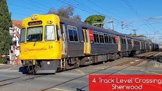 Queensland Rail Vlog 45 4 Track Level Crossing  Sherwood [upl. by Trinatte]