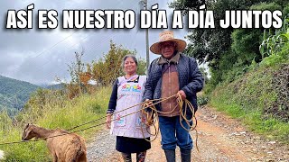 La vida tranquila en el pueblo lo que hacemos en nuestro día a día juntos [upl. by Rexfourd]