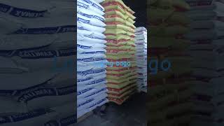 swine pig livestockfarming pilmicofeeds [upl. by Hun924]