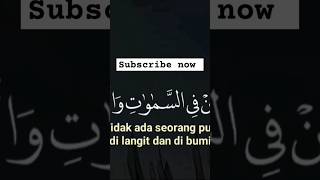 Quran tilawat with translation status viralshorts islamicvideo islamicshorts [upl. by Lossa]