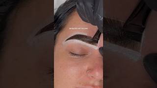 Brow Lamination amp Brow Tinting🖤 browtint browlifting browshaping [upl. by Rafaelle134]