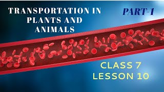 TRANSPORTATION IN ANIMALS AND PLANTS Class 7 Lesson 10 Part 1 Future Kids Science [upl. by Rella]