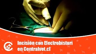 Incisión con Electrobisturi en Centralvetcl [upl. by Eelrebma]