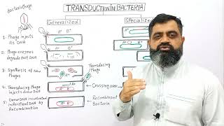 Transduction in Bacteria UrduHindi medium profmasoodfuzailtransduction [upl. by Uwkuhceki]