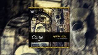 Conejo  Felony Case Gee Funktion Remix 2016 [upl. by Beach507]