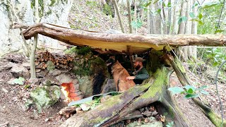 Winter Camping in the Wild Bushcraft Survival Shelter Camp in Heavy Rain Nature Documentary Asmr [upl. by Darcey809]