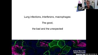 quotLung infections interferons macrophages The good the bad and the unexpectedquot by Dr Andreas Wack [upl. by Avihs549]