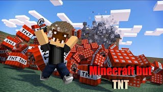 Minecraft but TN T1000 vs 10000 in Minecraft blasting TNT bomb [upl. by Lisabeth]