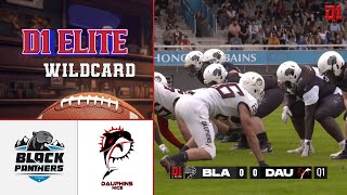 Highlights D1 Elite 2024  Wild Card  Dauphins de Nice VS Black Panthers de Thonon [upl. by Liddle]