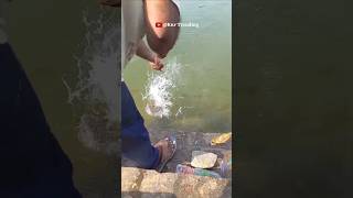 Best Hook Fishing Videos  Easy Way To Catch Fish  Tips amp Tricks  Knr Trending [upl. by Laney]