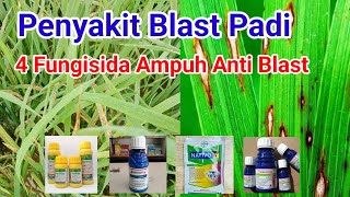 Obat Penyakit Blast Padi  Blast daun  Blast leher [upl. by Moitoso984]