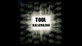 Tool  Live · Kalamazoo MI · 7151998 HD Soundboard [upl. by Sukul300]