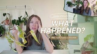 What do you think happened  Epipremnum Pothos Albo Care amp Propagating [upl. by Adnoek]