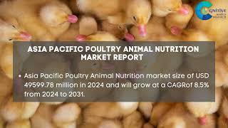 Poultry Animal Nutrition Market Report 2024 [upl. by Aicsila536]