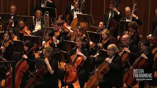 Beethoven Symphony No 5 First movement Benjamin Zander Boston Philharmonic Orchestra [upl. by Nezam]