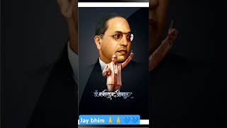 Babasaheb Ambedkar most popularity jayanti and biggest jayanti short​​ viralshorts​ [upl. by Sekyere498]