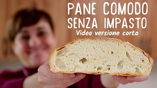 PANE COMODO FATTO IN CASA SENZA IMPASTO  Ricetta Facile Video Live versione corta [upl. by Menashem]