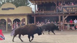 Pullman City Harz 17082024 [upl. by Benton]