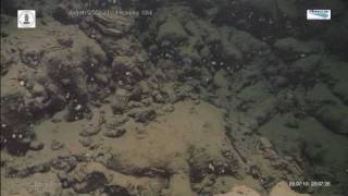 Pillow Lava Deep Sea [upl. by Alfy]