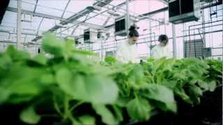 Agricultural Biotechnology Accelerating Economic Opportunities in North Carolina UPDATE [upl. by Duky525]