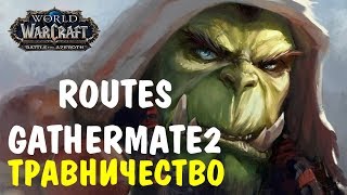 Настройка аддонов GatherMate2 и Routes для травничества [upl. by Ahsoik]