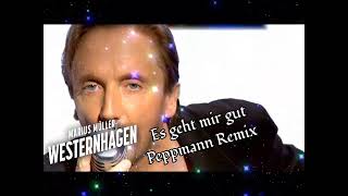 Es geht mir gut Peppmann Remix [upl. by Politi]