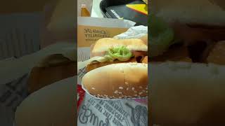 Carls Jr burger food Carls Catch with waffle fries [upl. by Wie307]