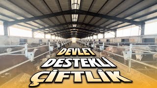 DEVLET DESTEKLİ ÇİFTLİK KURULUMU  DEVLET DESTEKLİ HAYVANCILIK [upl. by Derfiniw]