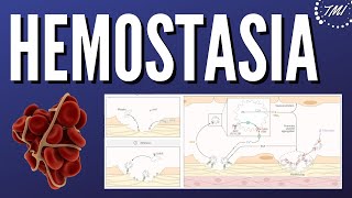 Hemostasia Explicada Claramente [upl. by Asirral]