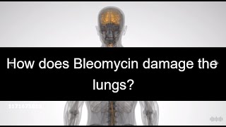 How does Bleomycin damage the lungs [upl. by Derfnam438]