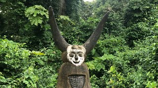 Sacred VooDoo Forest  Ouidah Benin AFRICA 🇧🇯 [upl. by Nirad996]